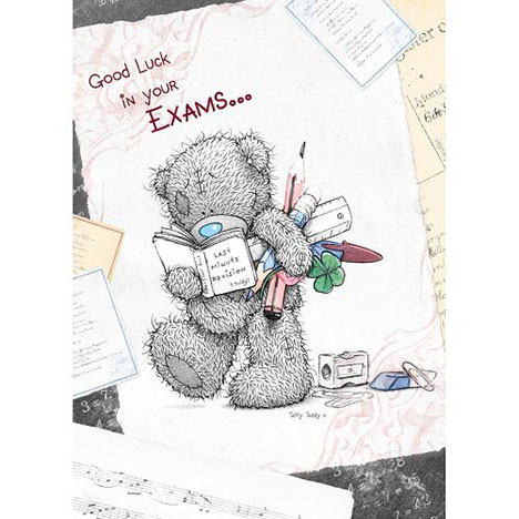 Good Luck In Your Exams Me to You Bear Card £1.79
